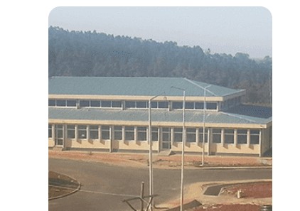 Tepi University